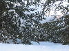 snow storm 2-14-07 075